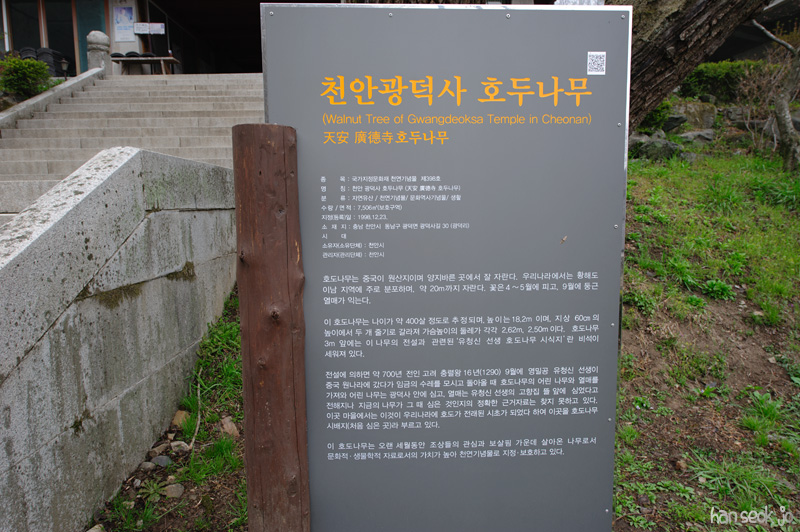 HSJ_8959.jpg