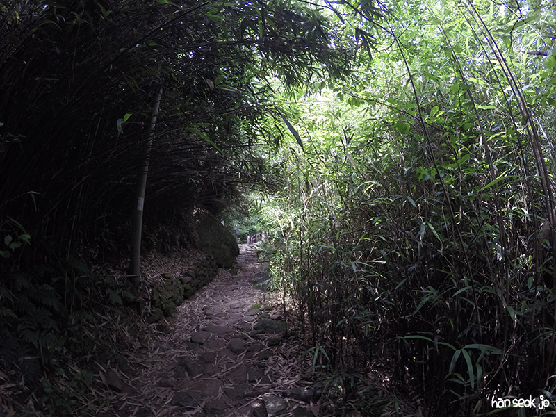 GOPR2580.jpg