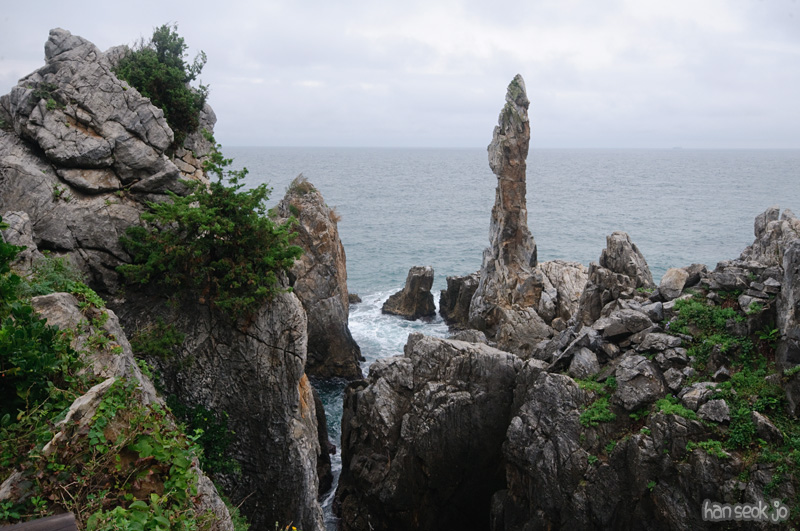 DSC_8670.jpg