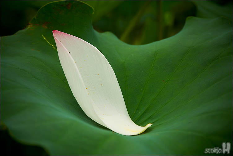DSCF9982.jpg