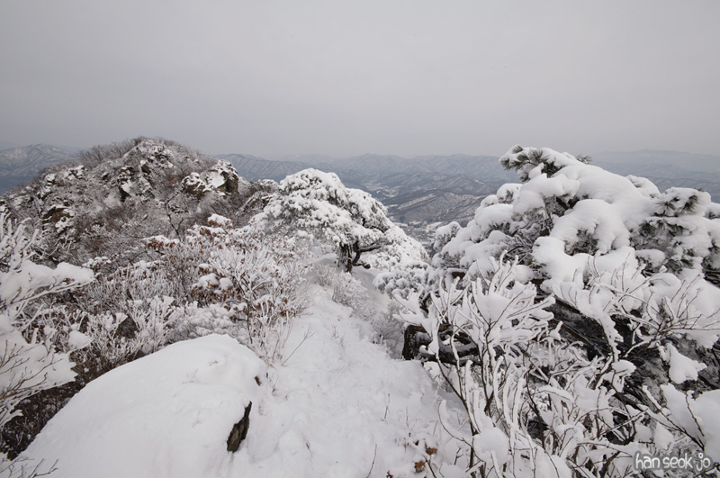 DSC_4927.jpg