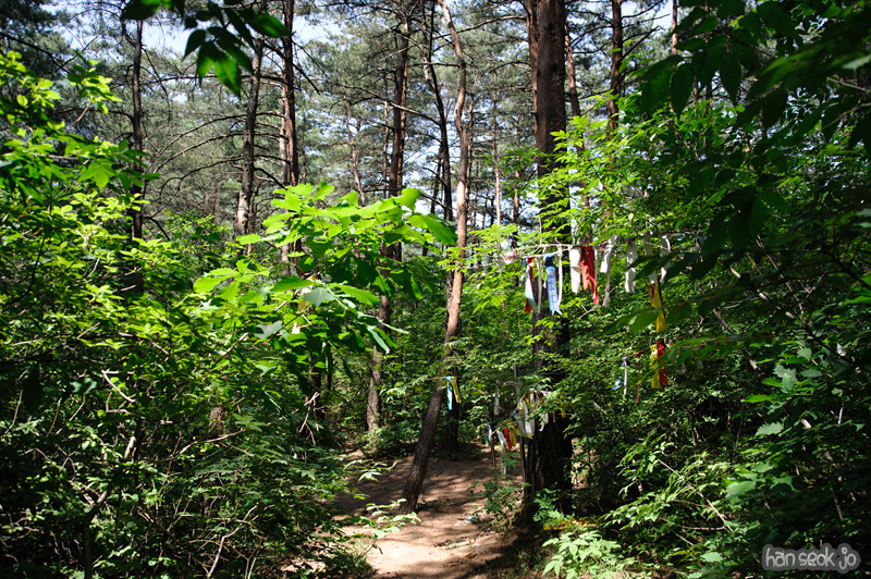 HSJ_3785.jpg