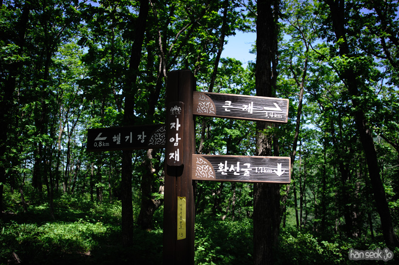 HSJ_3744.jpg