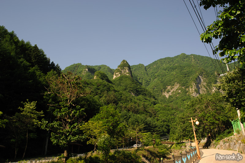 HSJ_3682.jpg