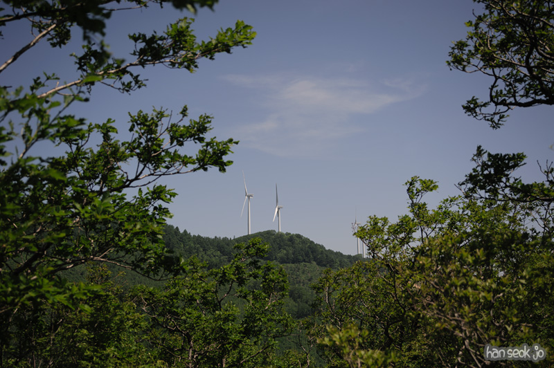 HSJ_3745.jpg