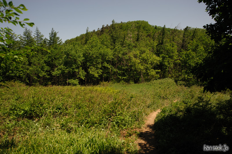 HSJ_3746.jpg