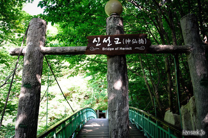 HSJ_3685.jpg