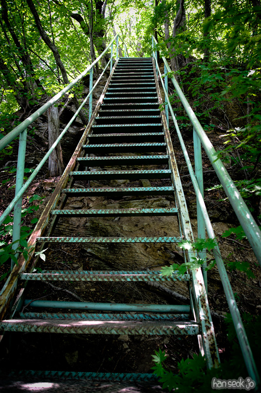 HSJ_3774.jpg