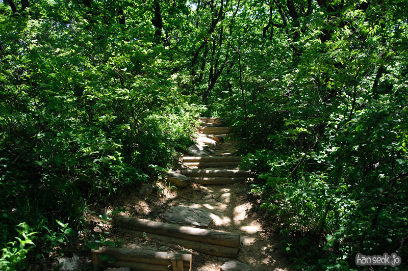 HSJ_3757.jpg