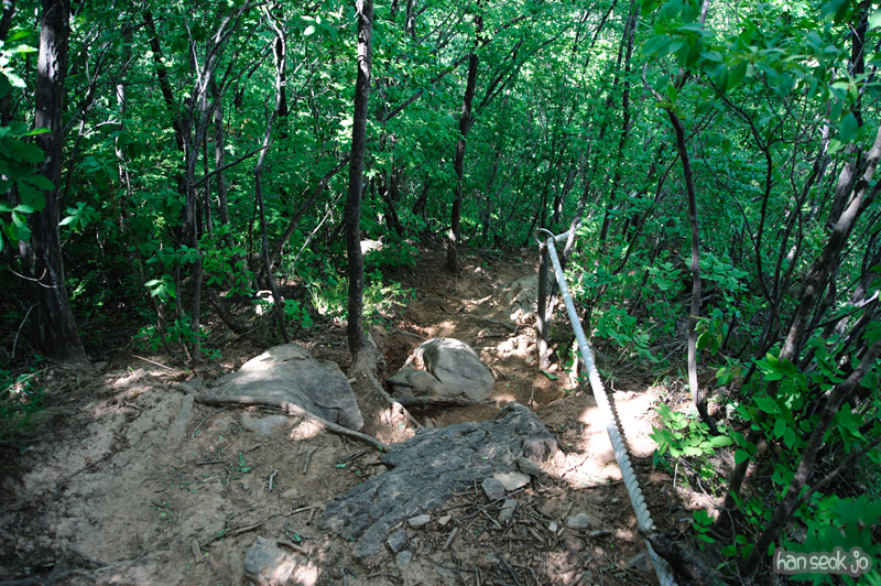 HSJ_3784.jpg