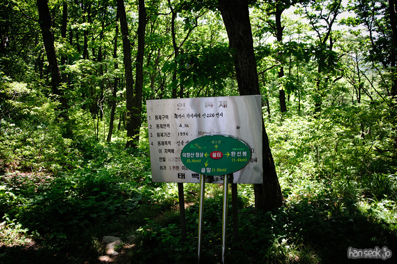 HSJ_3754.jpg