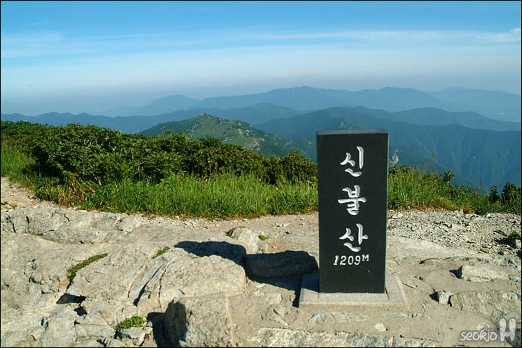 DSCF0267.jpg
