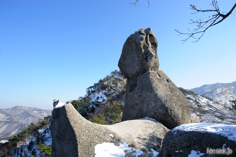 HSJ_6799.jpg