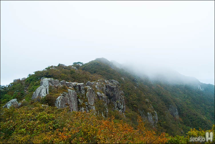DSCF0876.jpg