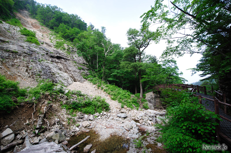 HSJ_0480.jpg