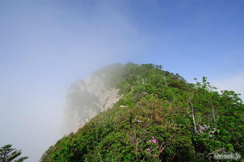 HSJ_0447.jpg