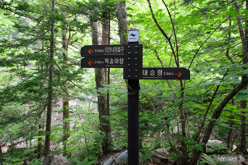 HSJ_0481.jpg