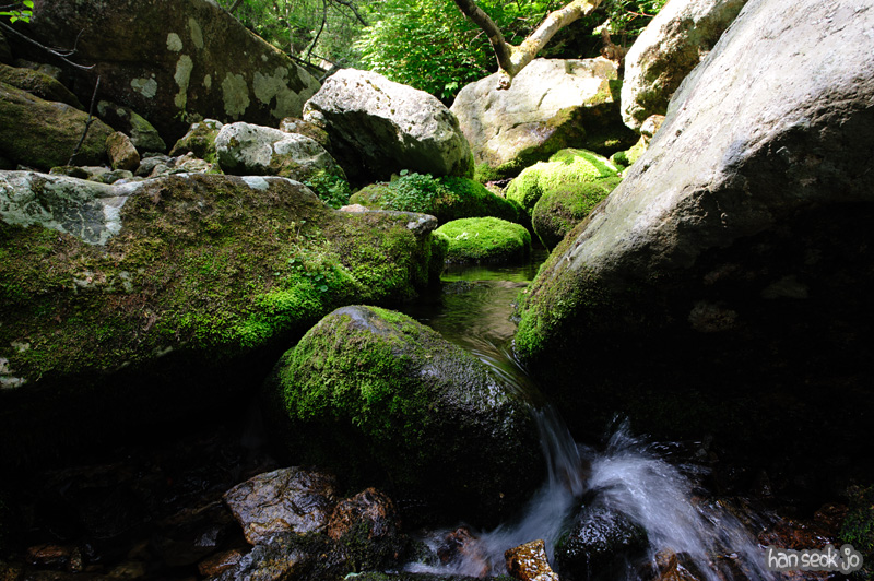 HSJ_0474.jpg