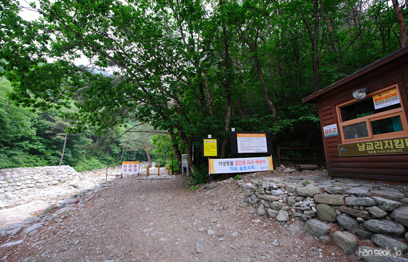 HSJ_0502.jpg