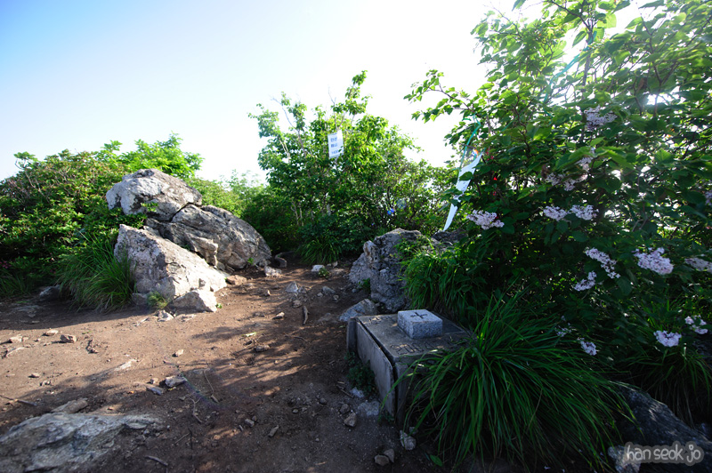 HSJ_0456.jpg