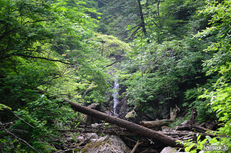 HSJ_0476.jpg