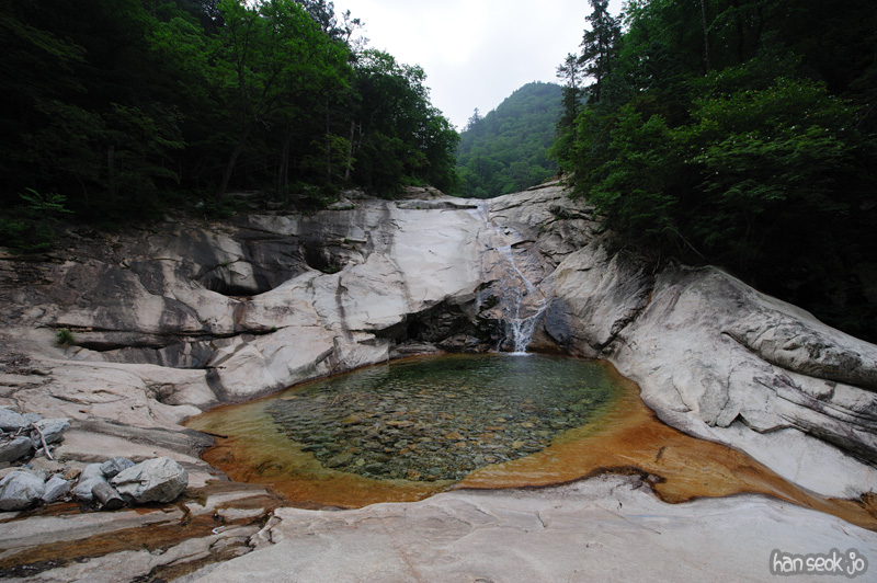 HSJ_0486.jpg