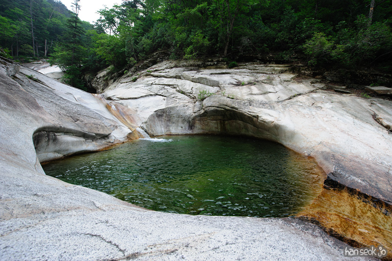 HSJ_0490.jpg