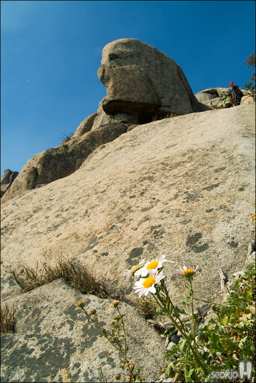 DSCF0960.jpg