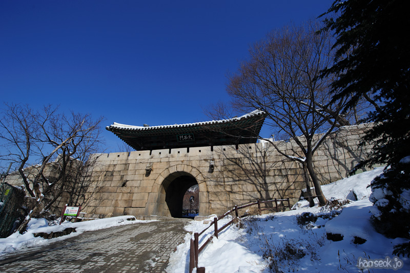 HSJ_7874.jpg