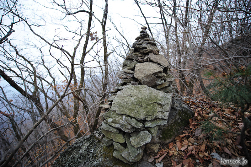 HSJ_8516.jpg