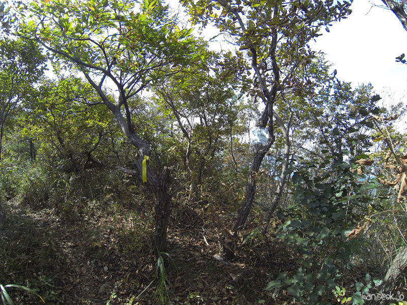 GOPR0374.jpg