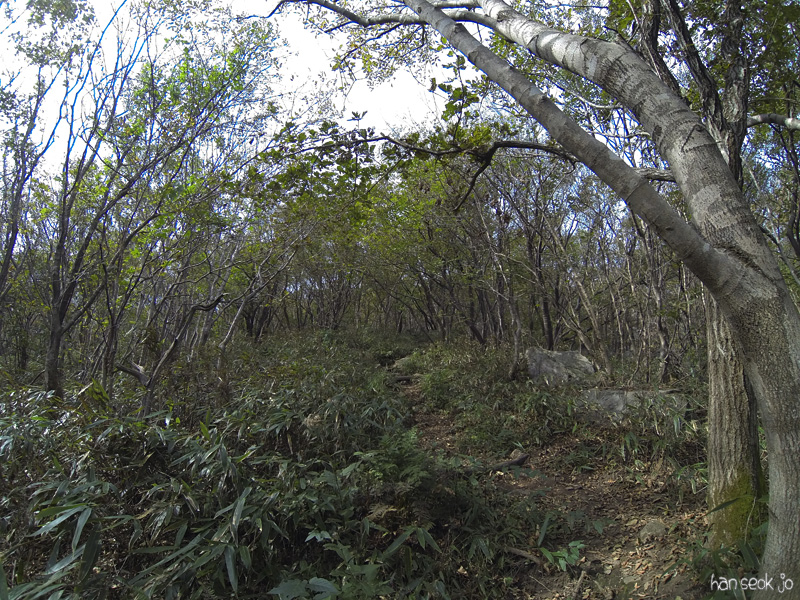 GOPR0358.jpg