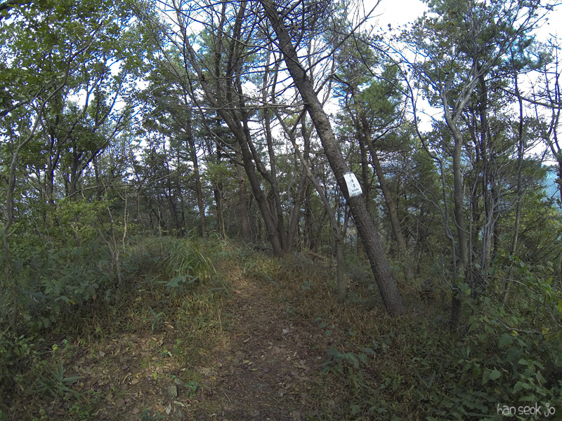 GOPR0387.jpg