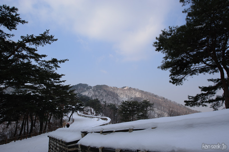 HSJ_7892.jpg