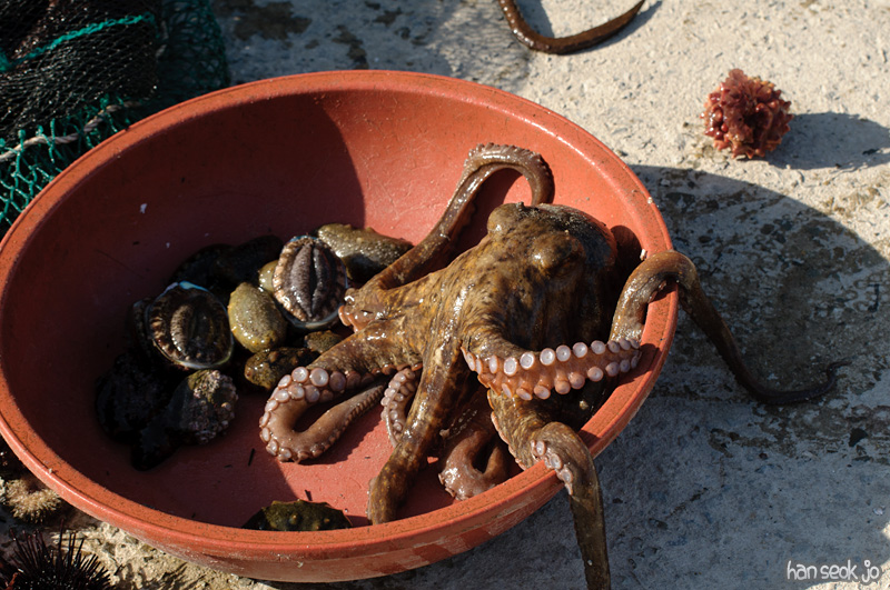 DSC_9269.jpg