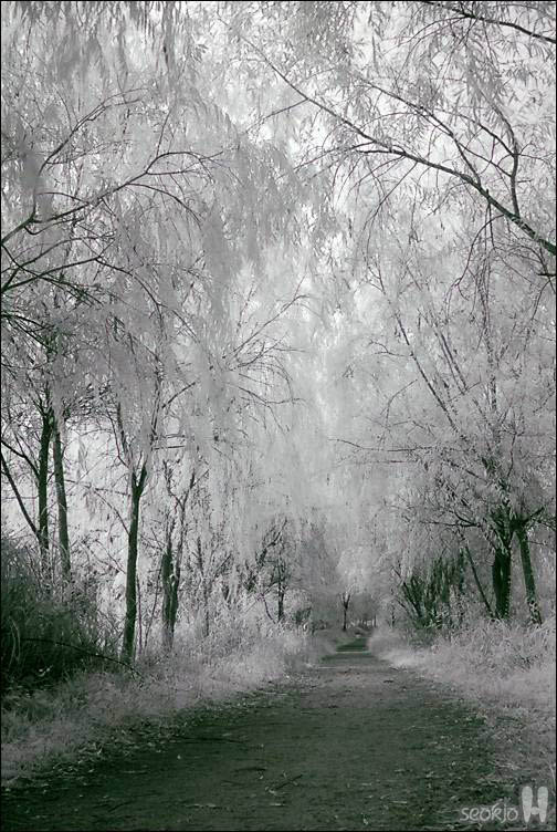 DSCF1367.jpg
