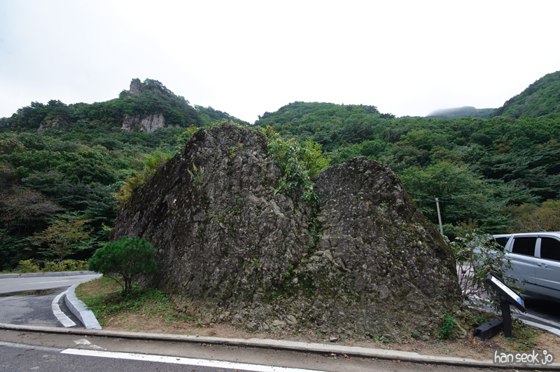 DSC_8703.jpg