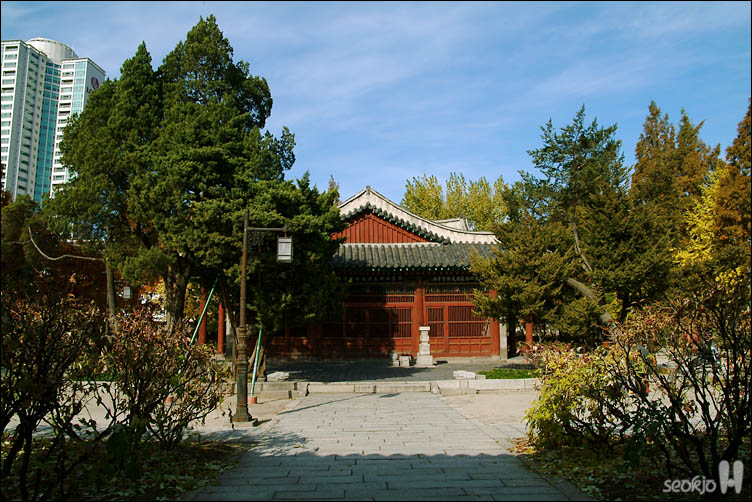 DSCF1411.jpg