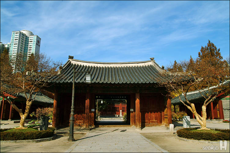 DSCF1412.jpg