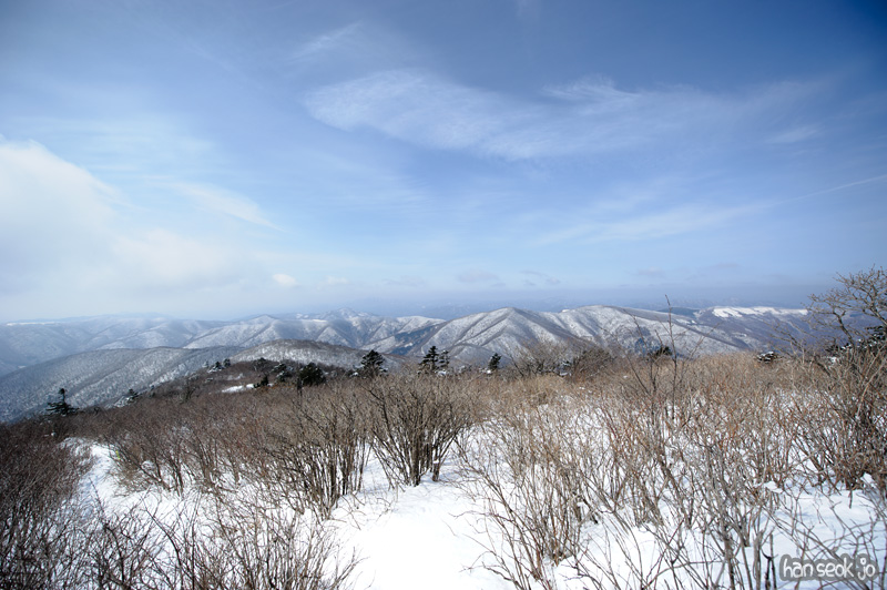 HSJ_1572.jpg