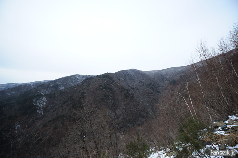 HSJ_1602.jpg