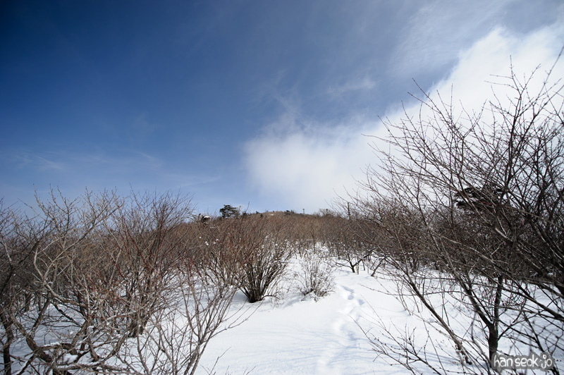 HSJ_1570.jpg