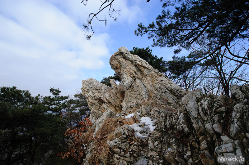 HSJ_6827.jpg