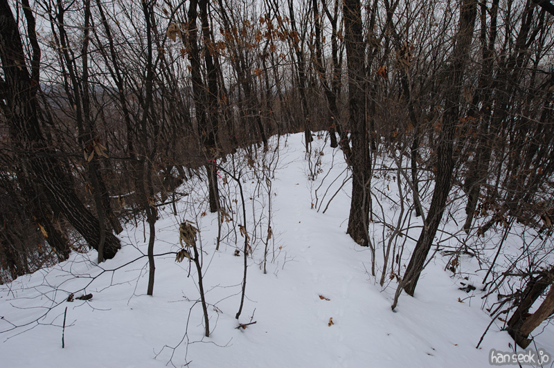 HSJ_7978.jpg