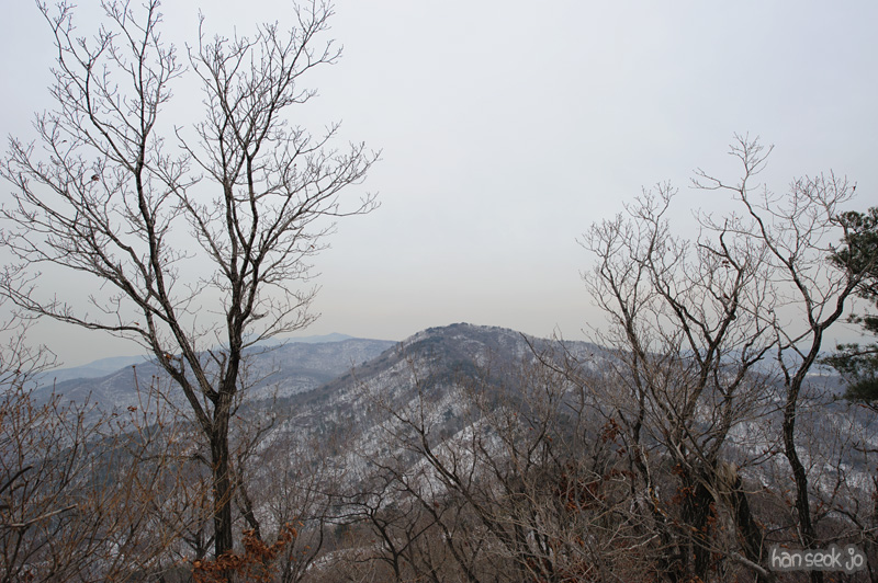 HSJ_7950.jpg