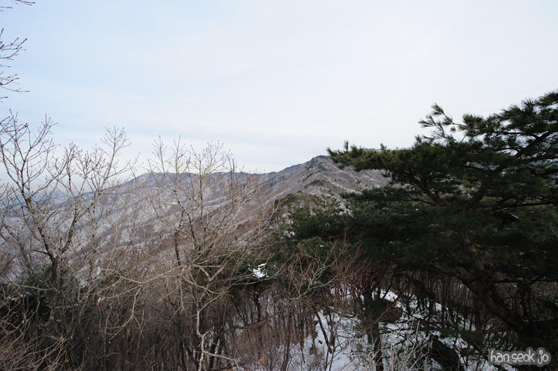 HSJ_7930.jpg