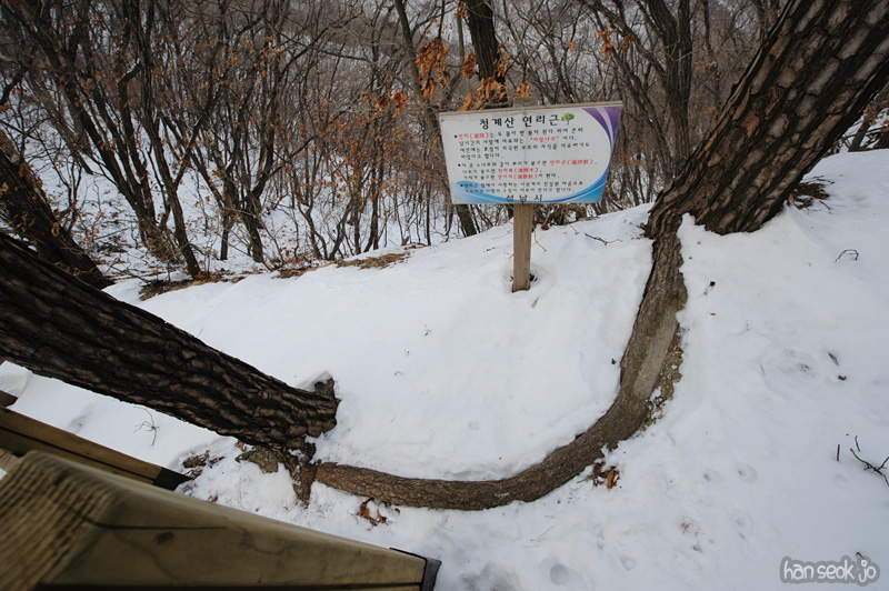 HSJ_7973.jpg