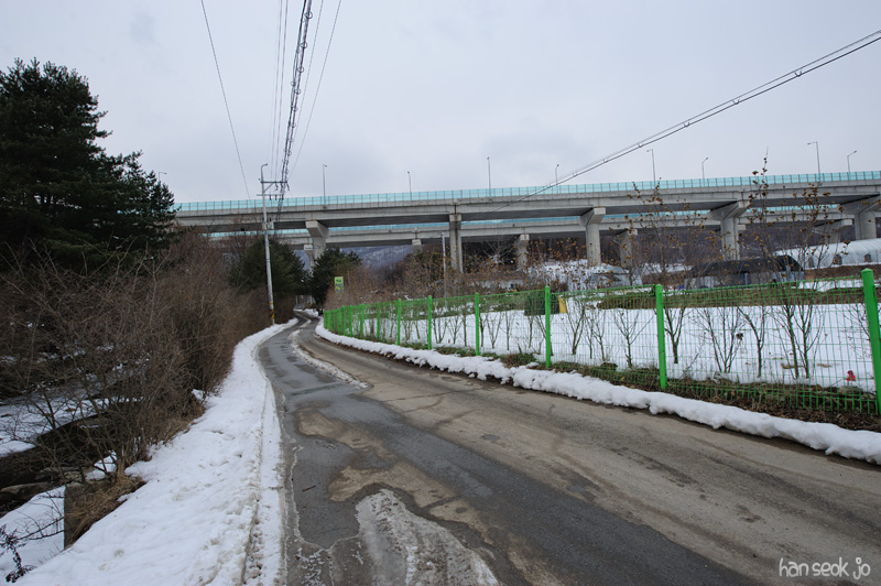 HSJ_7981.jpg