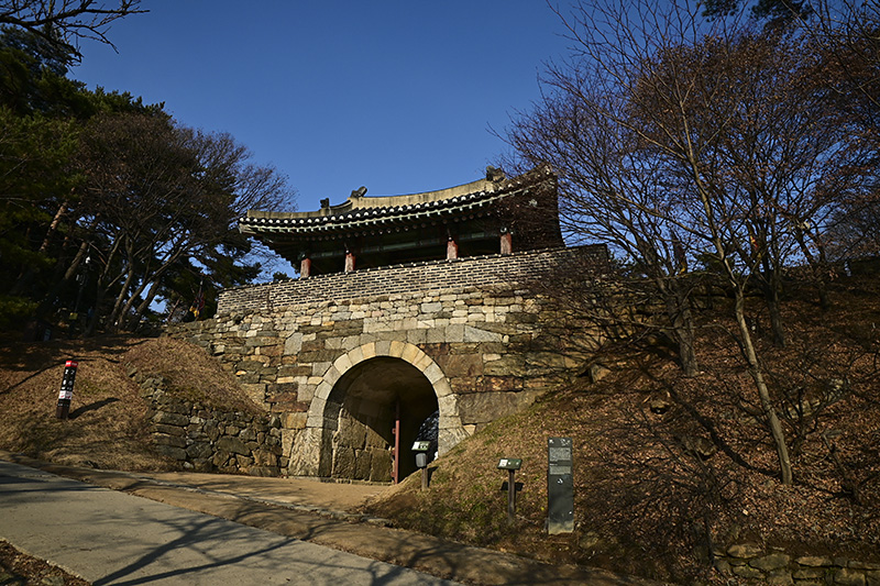 DSC_1163.jpg