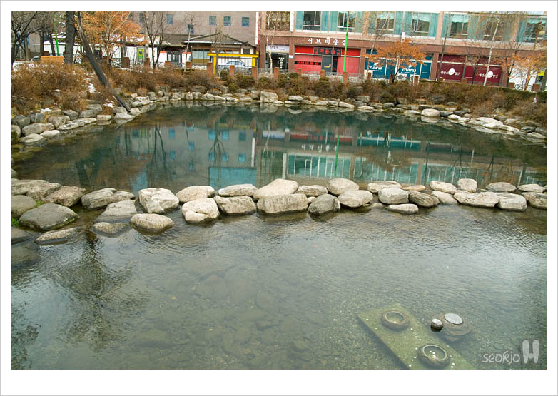 DSCF1549.jpg